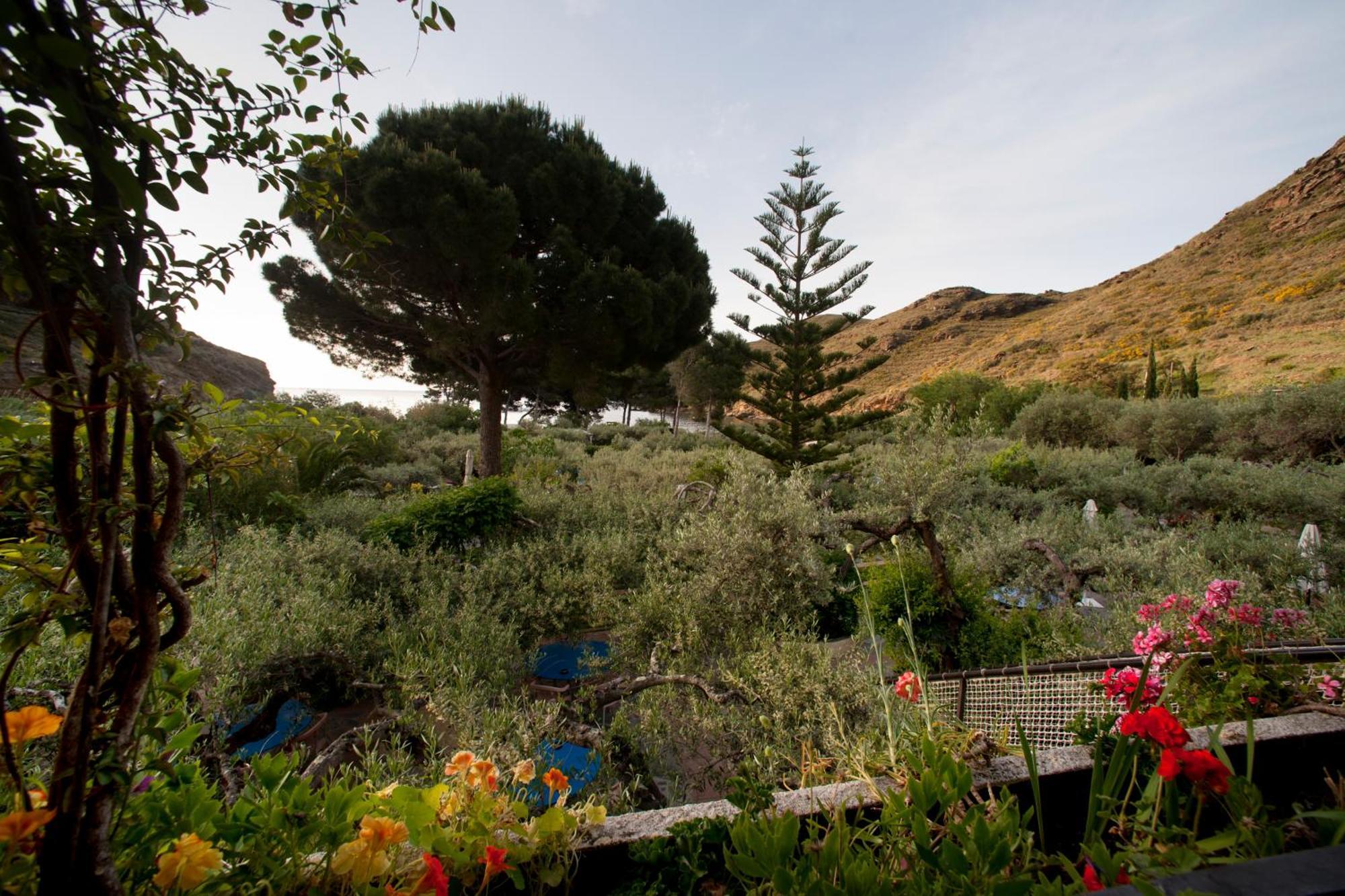 Hotel Cala Joncols Roses Exteriér fotografie