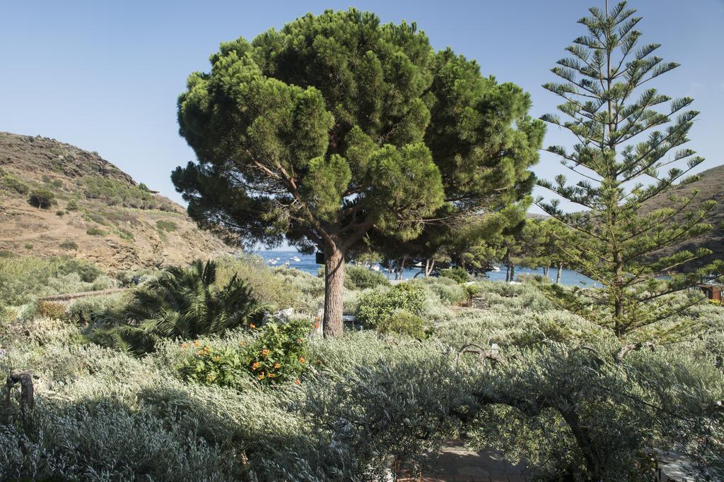 Hotel Cala Joncols Roses Exteriér fotografie
