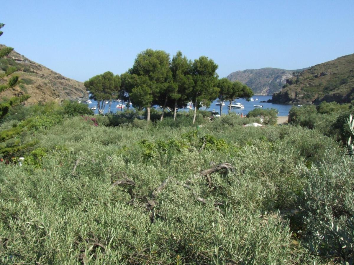 Hotel Cala Joncols Roses Pokoj fotografie